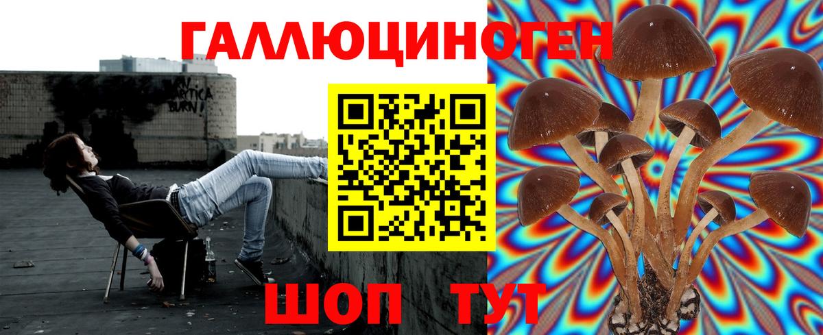 Псилоцибиновые грибы ЛСД  Вход с VPN  Казань 